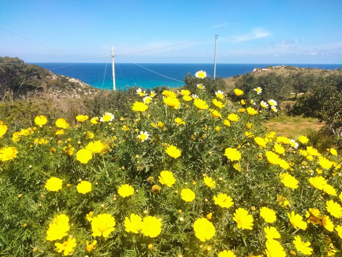Cala Rossa Hotel Castellammare del Golfo Eksteriør billede